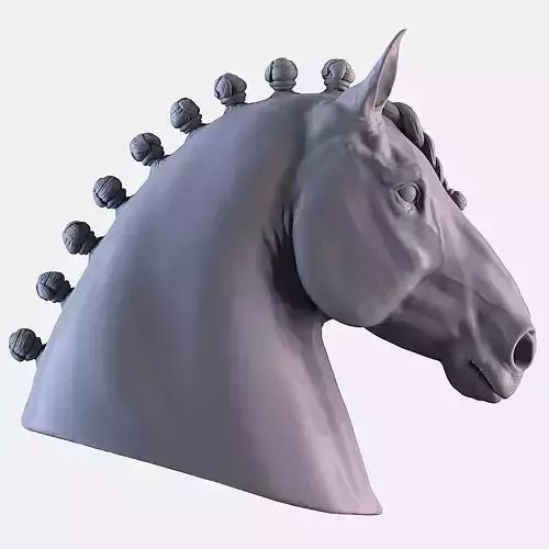 Head Horse