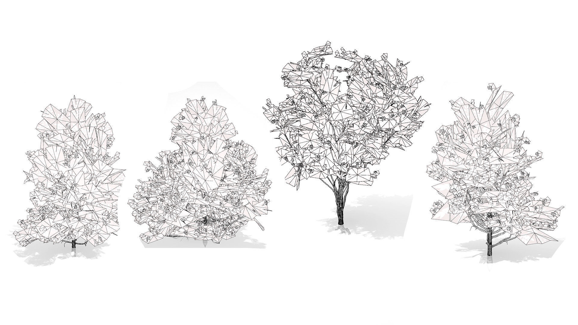 Japanese Privet 3D Model Low-poly 3D model_10