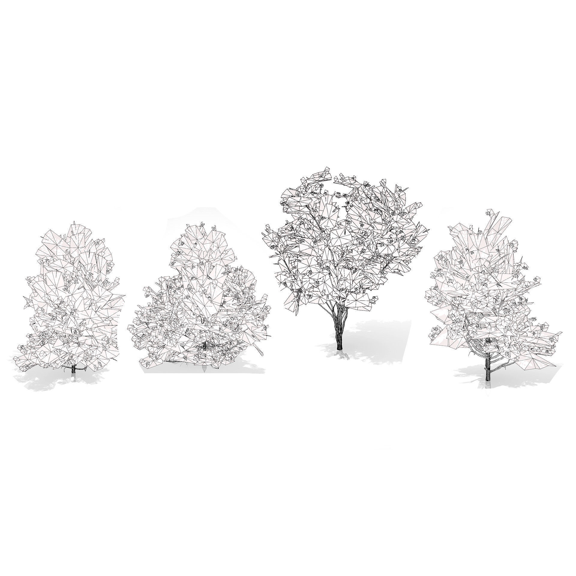 Japanese Privet 3D Model Low-poly 3D model_9