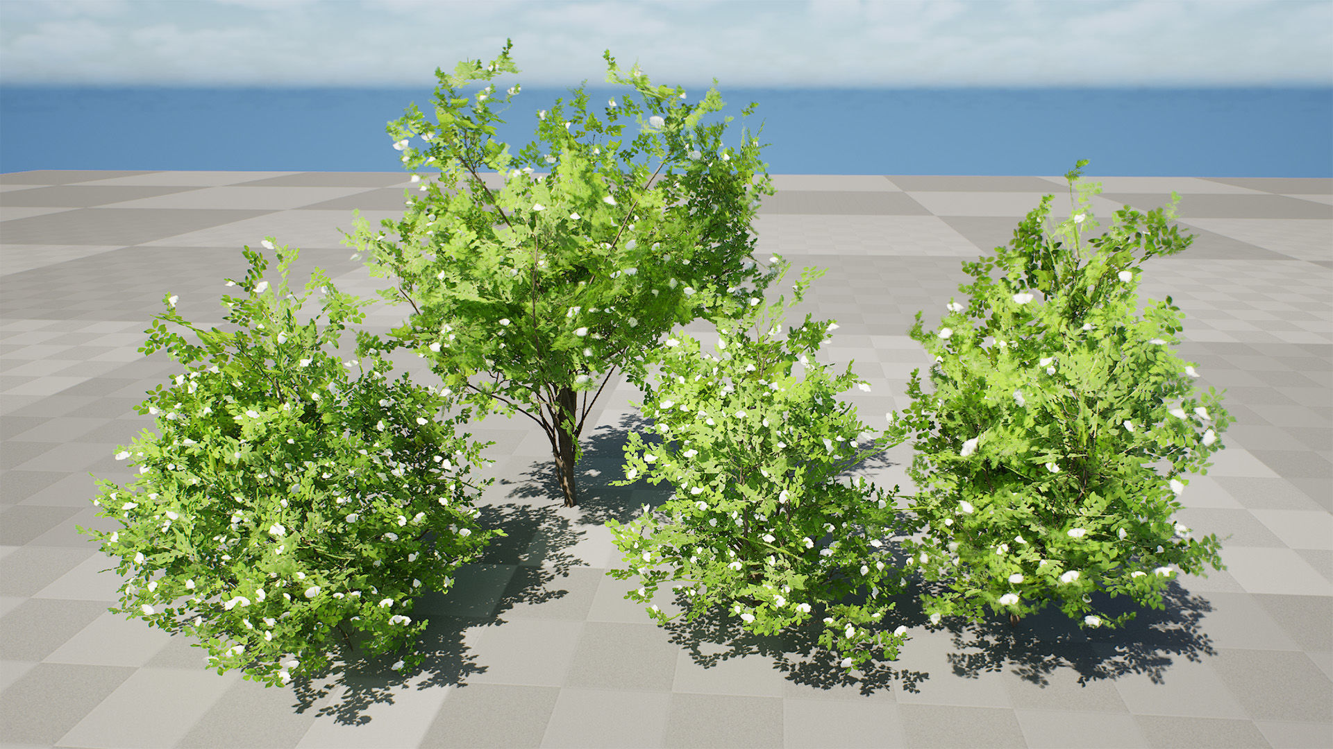Japanese Privet 3D Model Low-poly 3D model_4