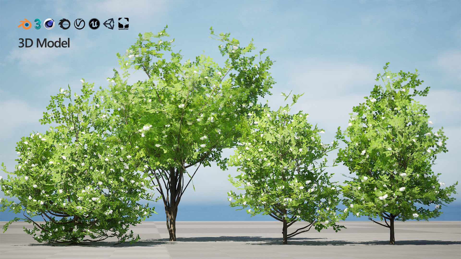 Japanese Privet 3D Model Low-poly 3D model_2