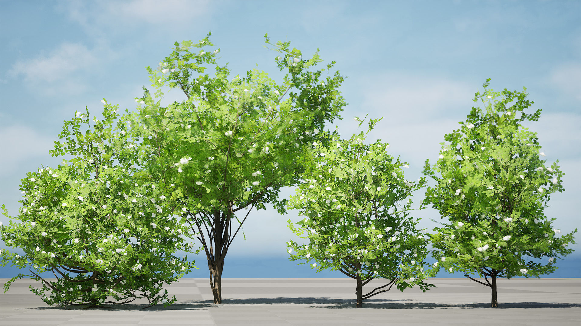Japanese Privet 3D Model Low-poly 3D model_5
