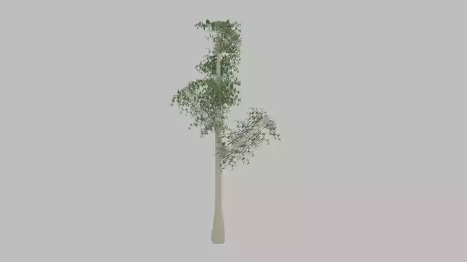 Low-Poly High and slender Tree with four Types of Foliage Low-poly 3D model