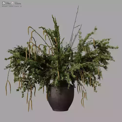 Bouquet Indoor Plants 19