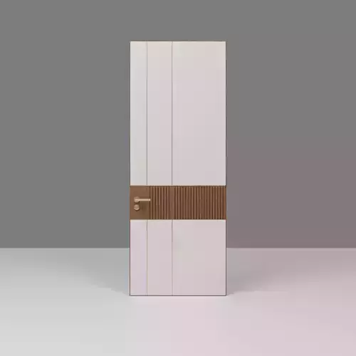 Modern Door