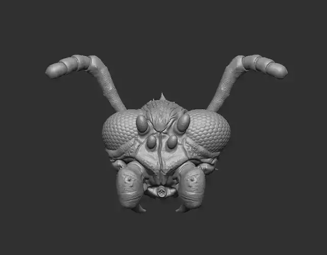 Insect Head ver 1 Headsculpt for Action Figures 3D print model
