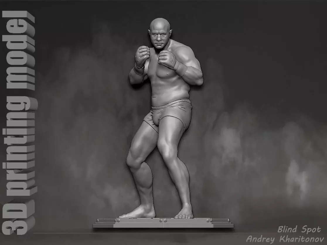 Fedor Emelianenko 3D print model