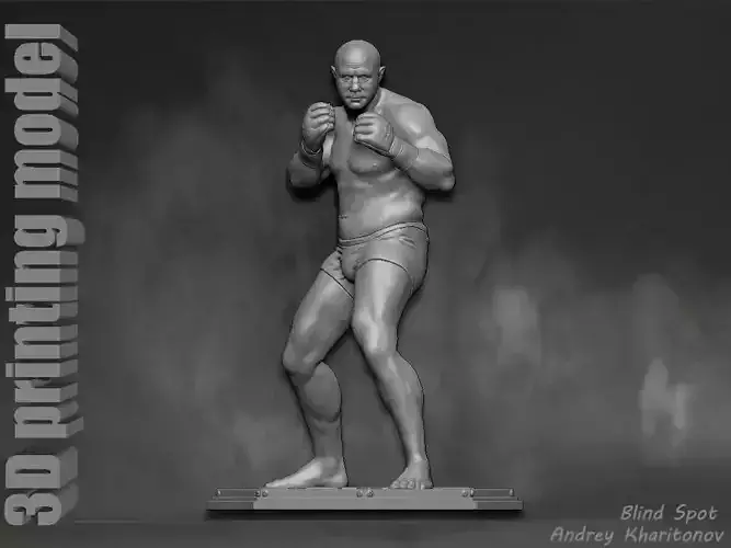 Fedor Emelianenko 3D print model