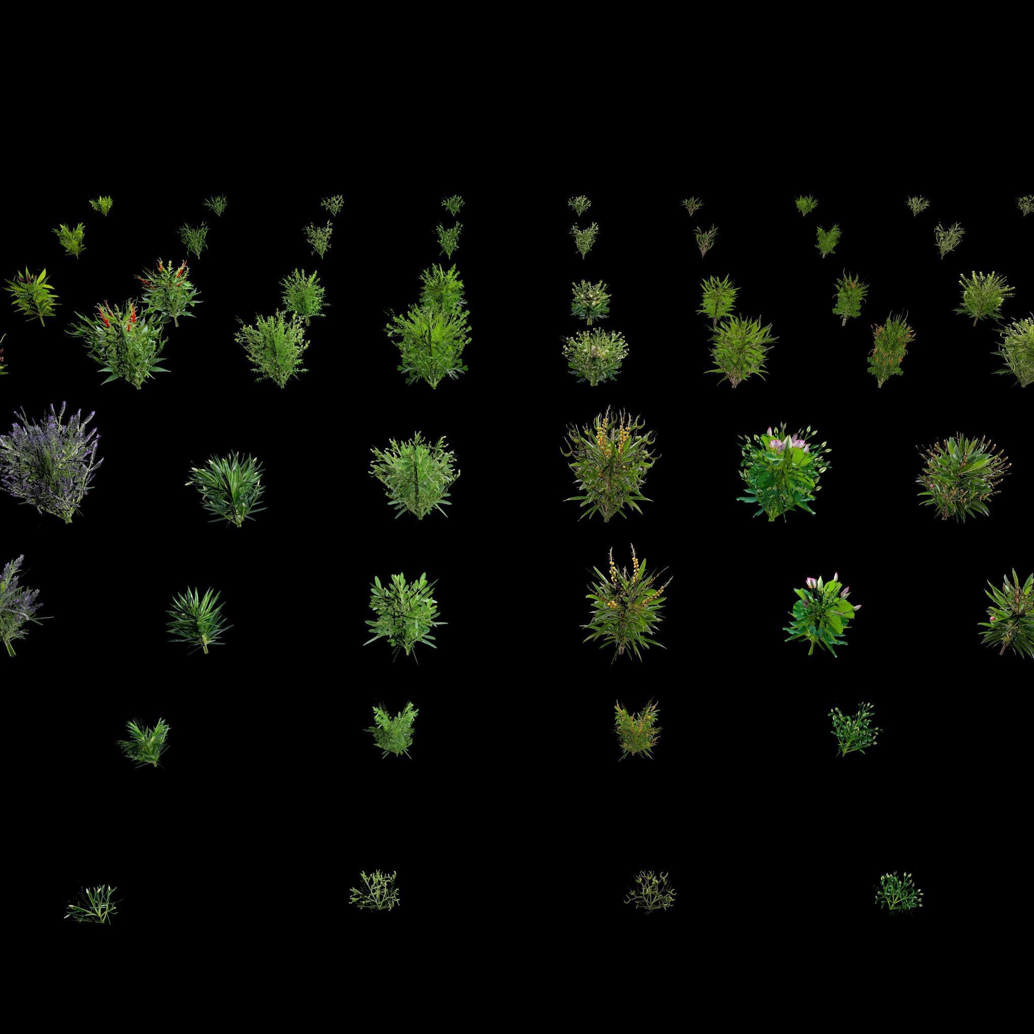 Valars Plant Pack 3D model_4