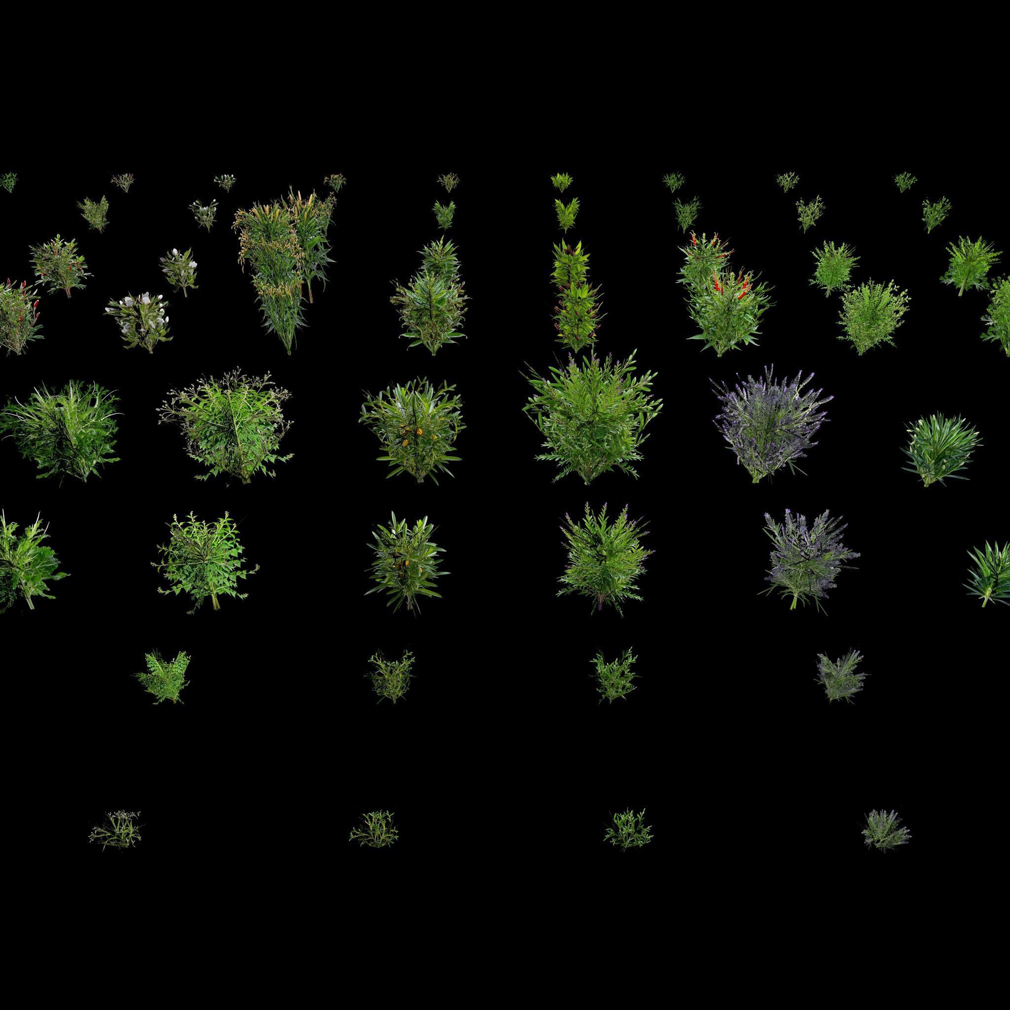 Valars Plant Pack 3D model_6