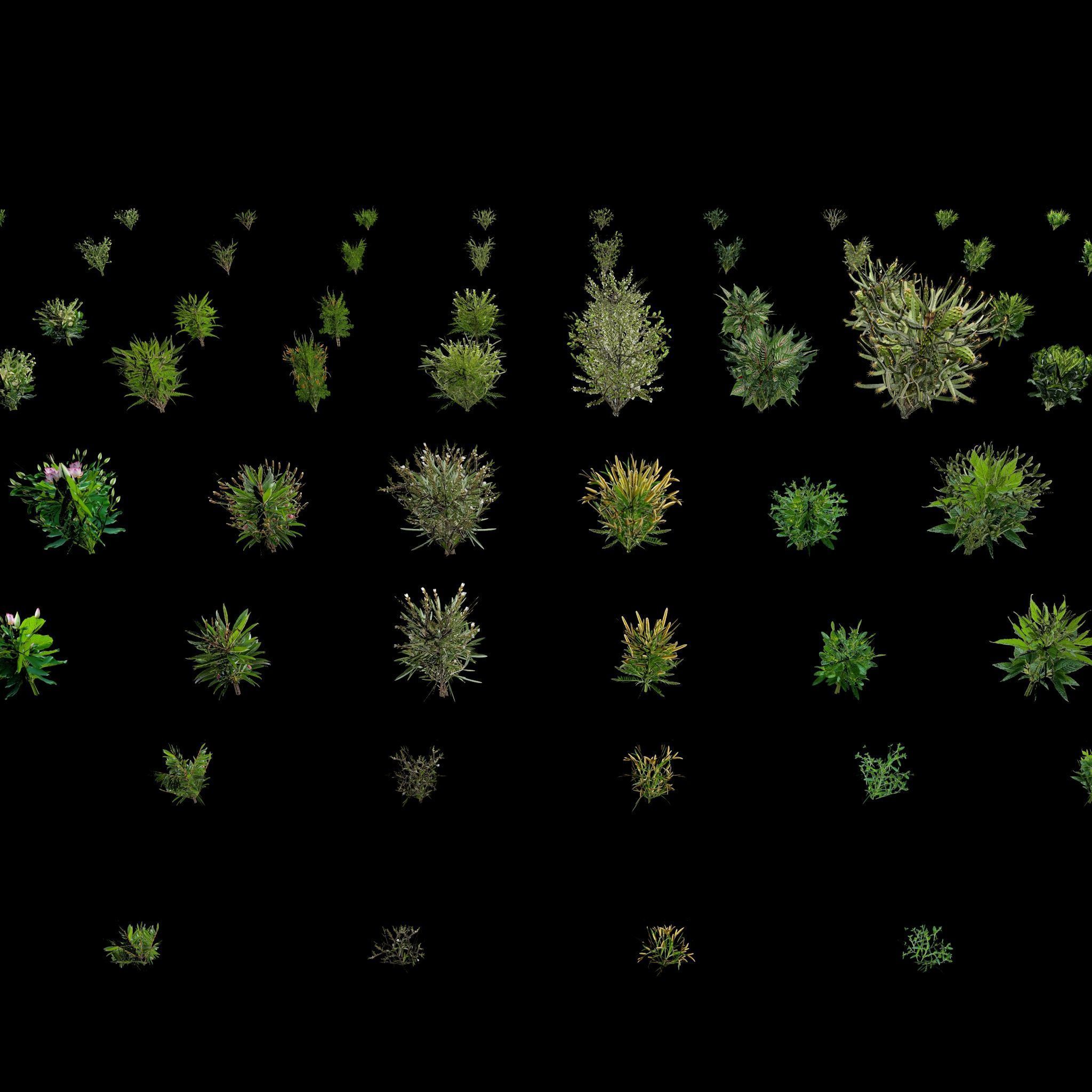 Valars Plant Pack 3D model_8