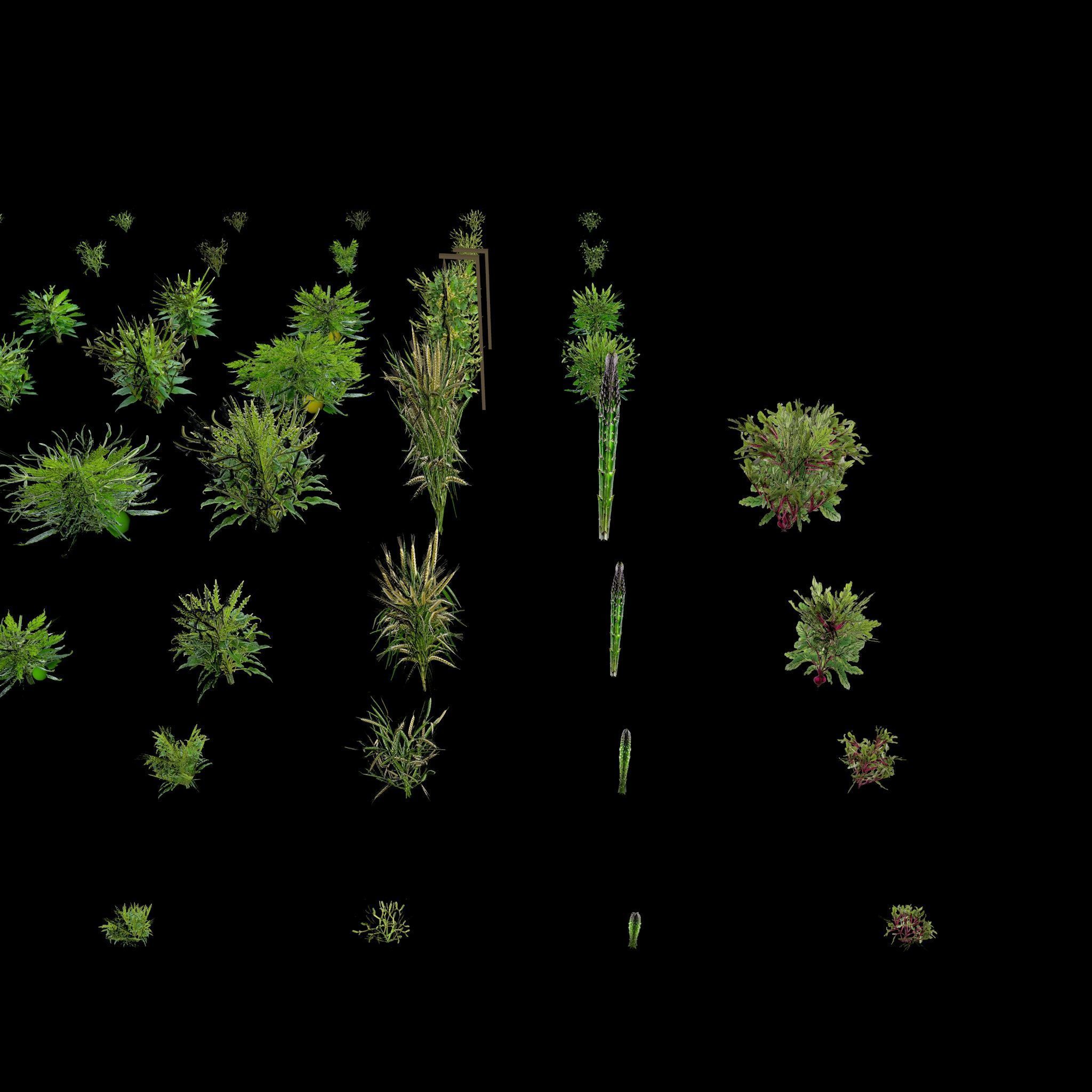 Valars Plant Pack 3D model_16