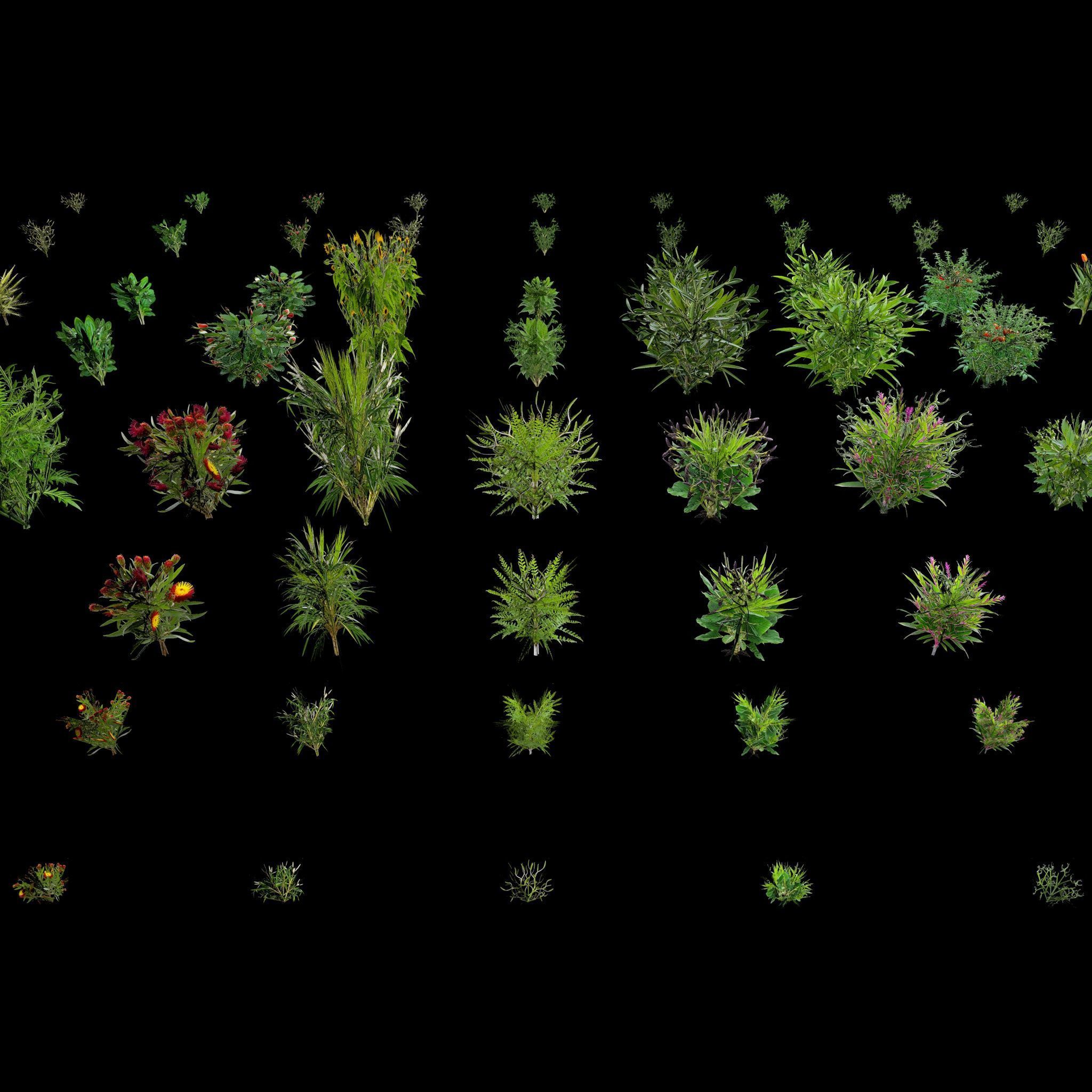 Valars Plant Pack 3D model_15