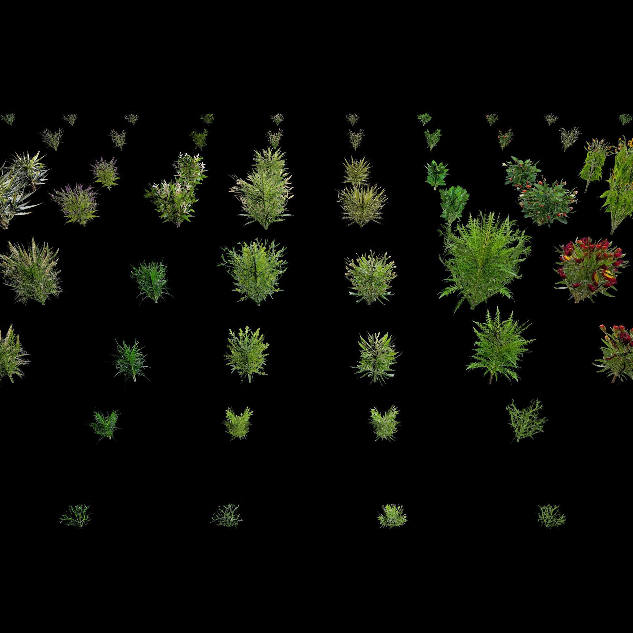 Valars Plant Pack 3D model_14