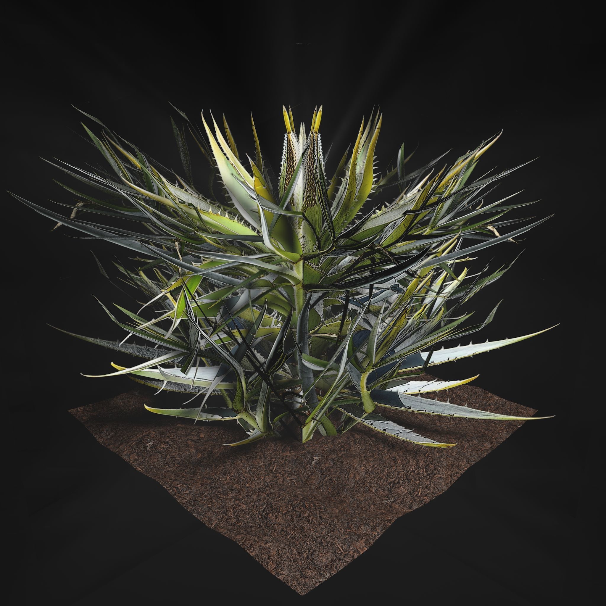 Valars Plant Pack 3D model_1
