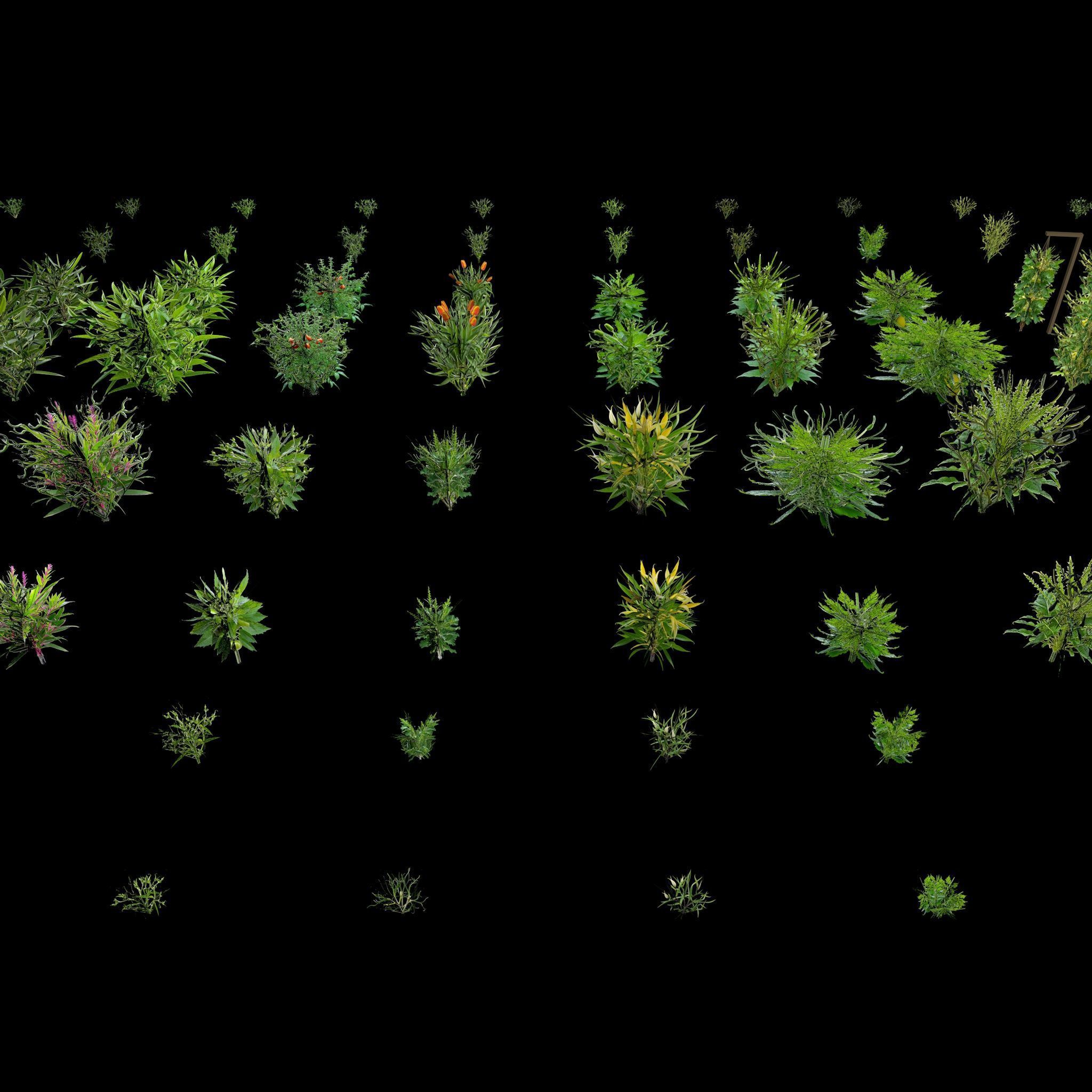 Valars Plant Pack 3D model_17