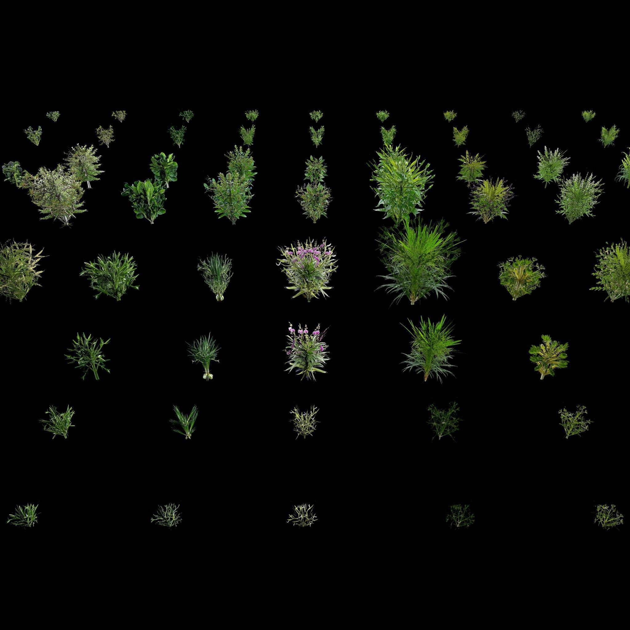 Valars Plant Pack 3D model_10