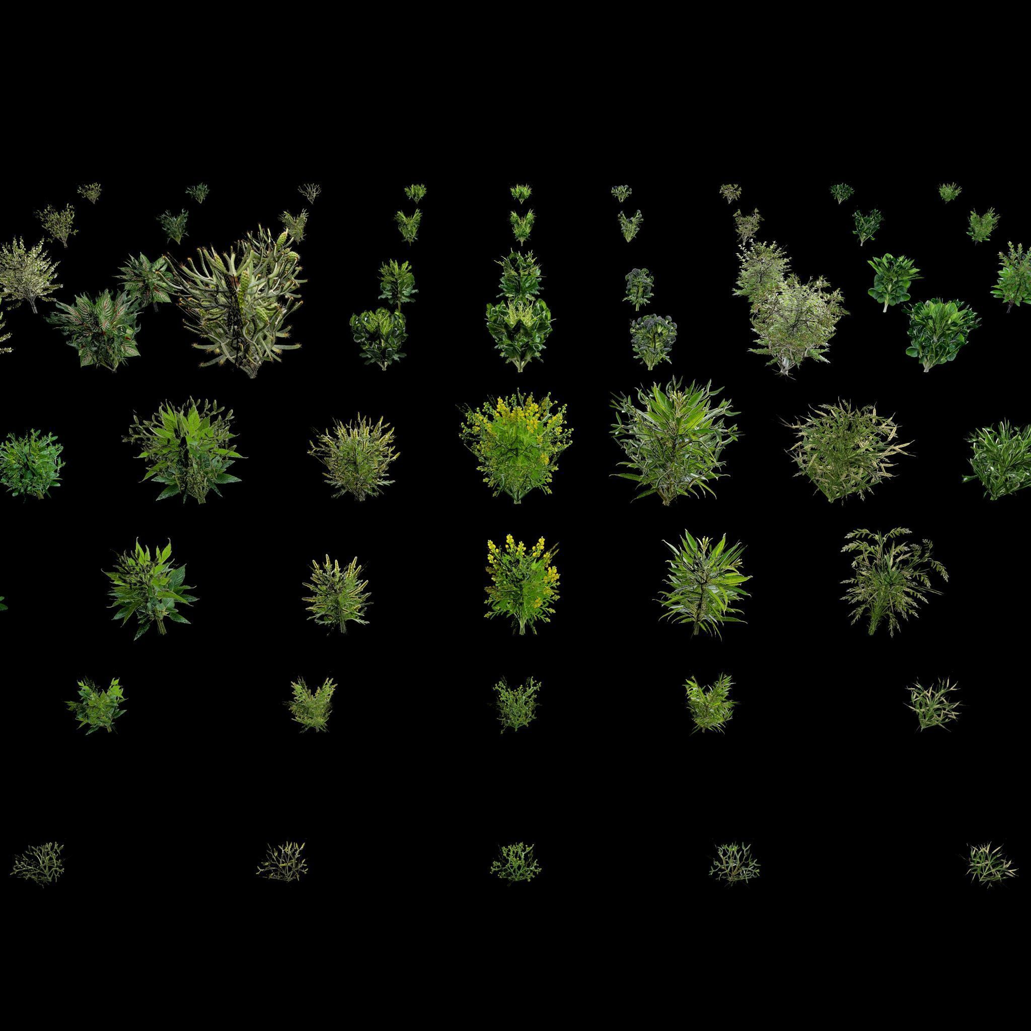 Valars Plant Pack 3D model_12