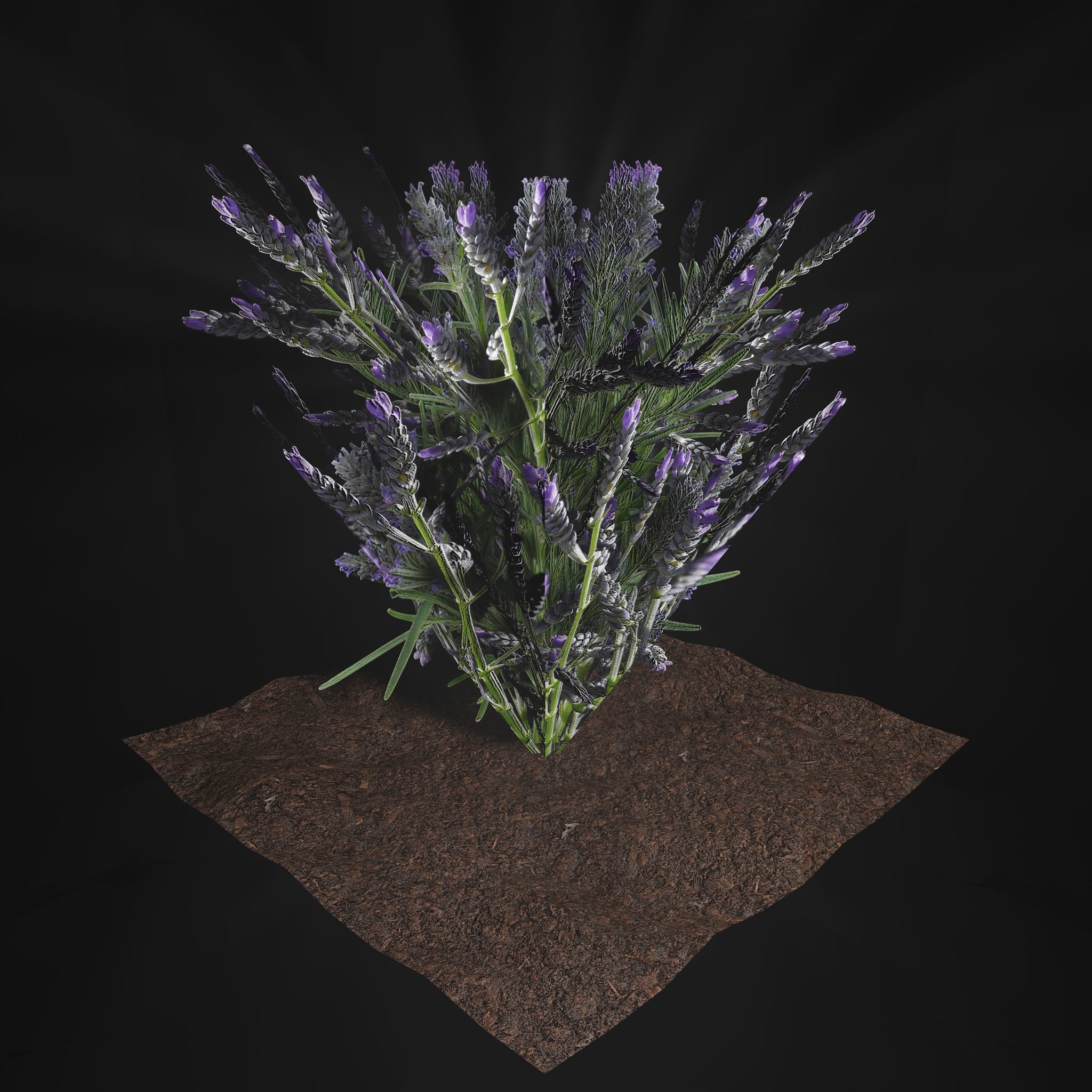 Valars Plant Pack 3D model_2