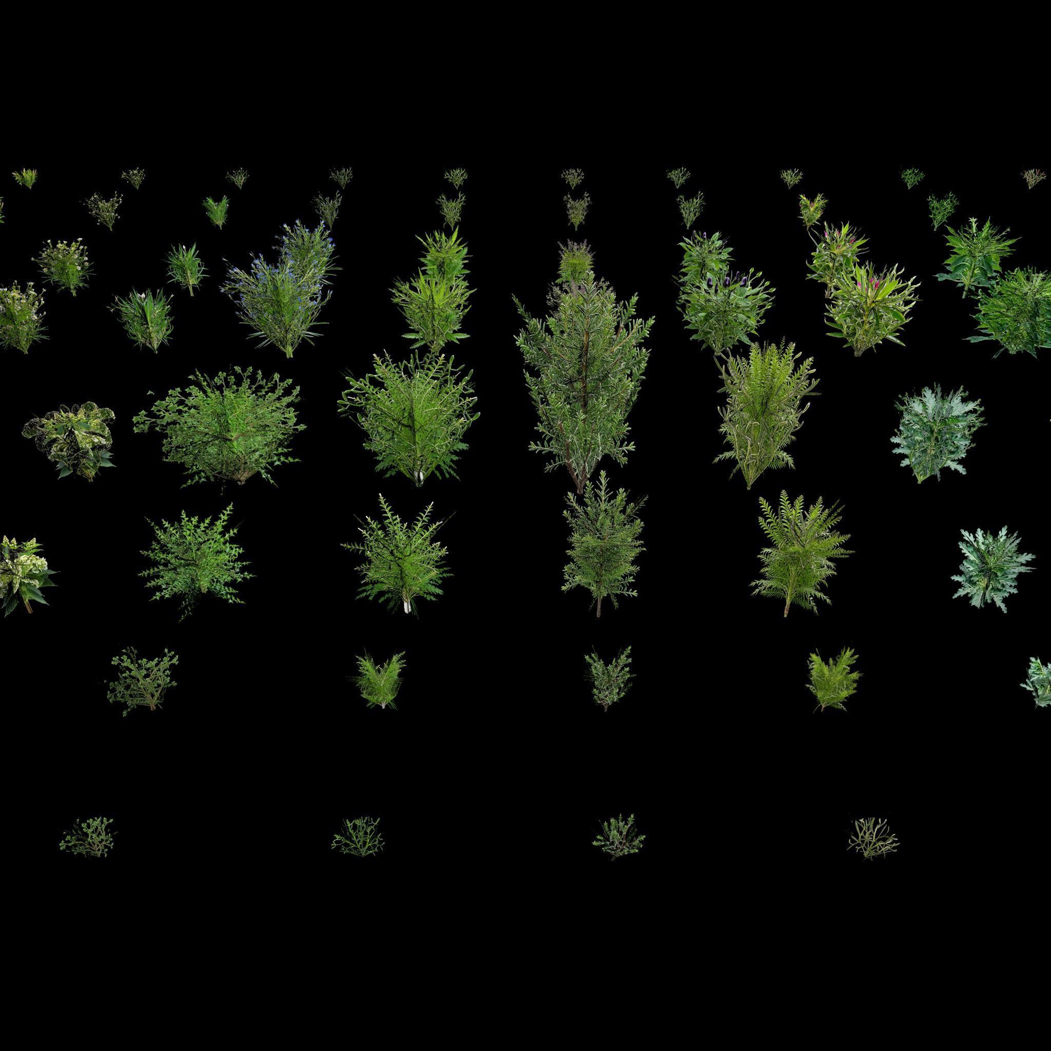 Valars Plant Pack 3D model_7