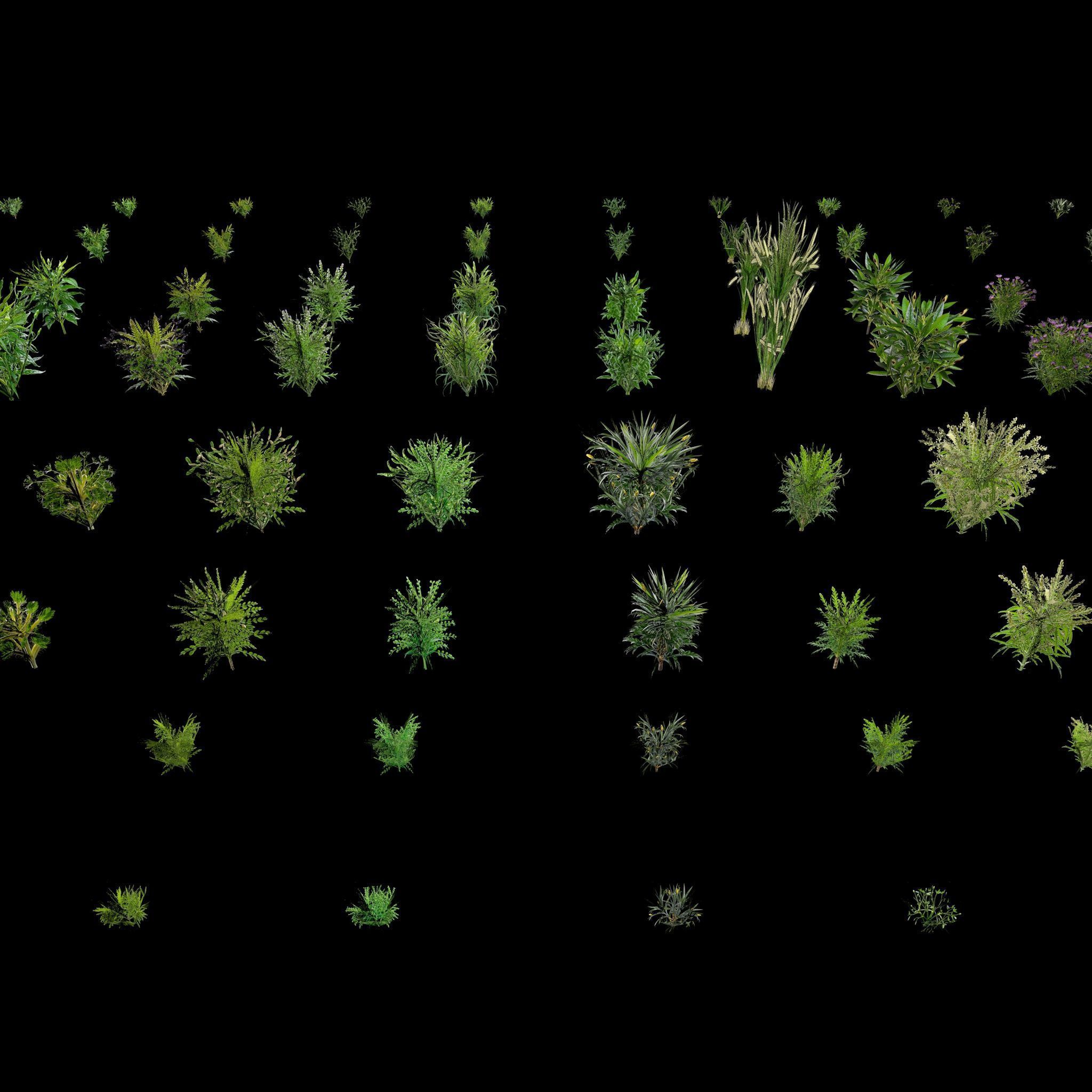 Valars Plant Pack 3D model_13