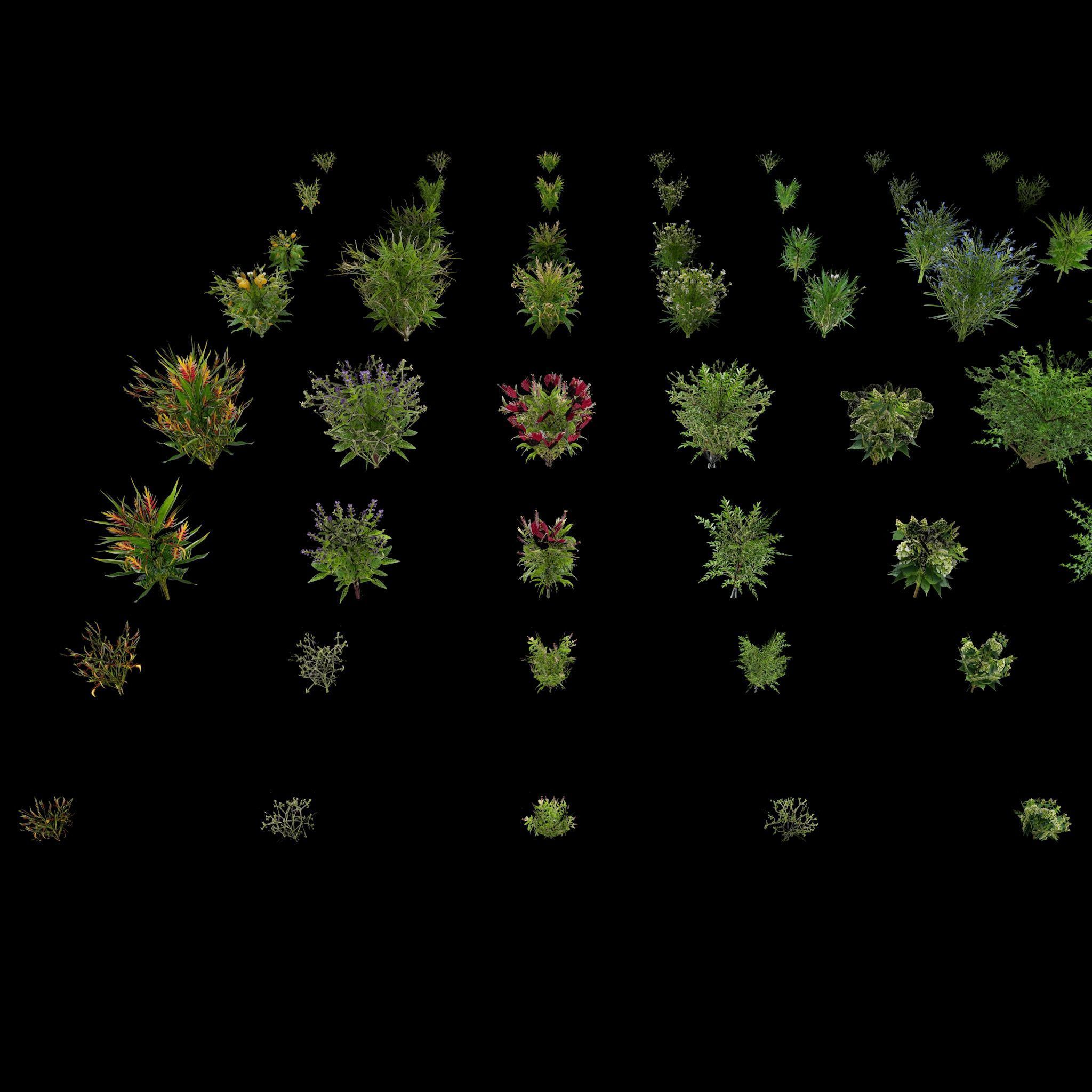 Valars Plant Pack 3D model_9