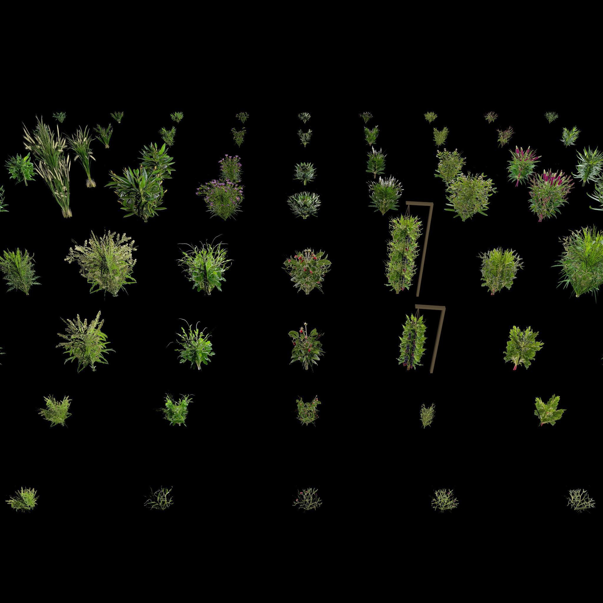 Valars Plant Pack 3D model_11