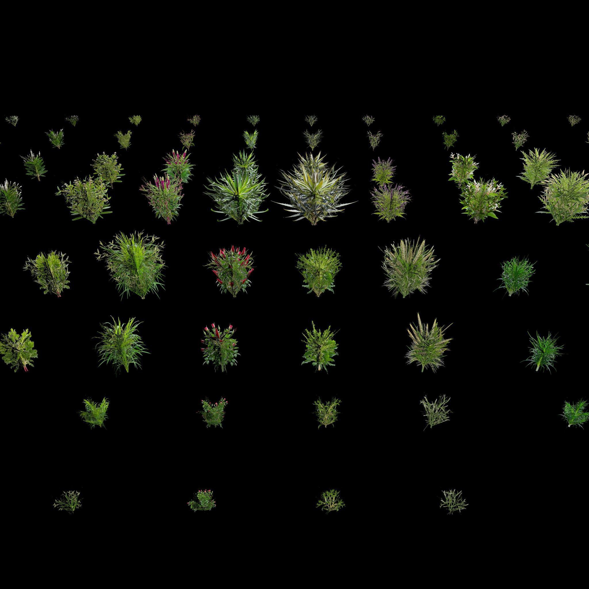 Valars Plant Pack 3D model_18