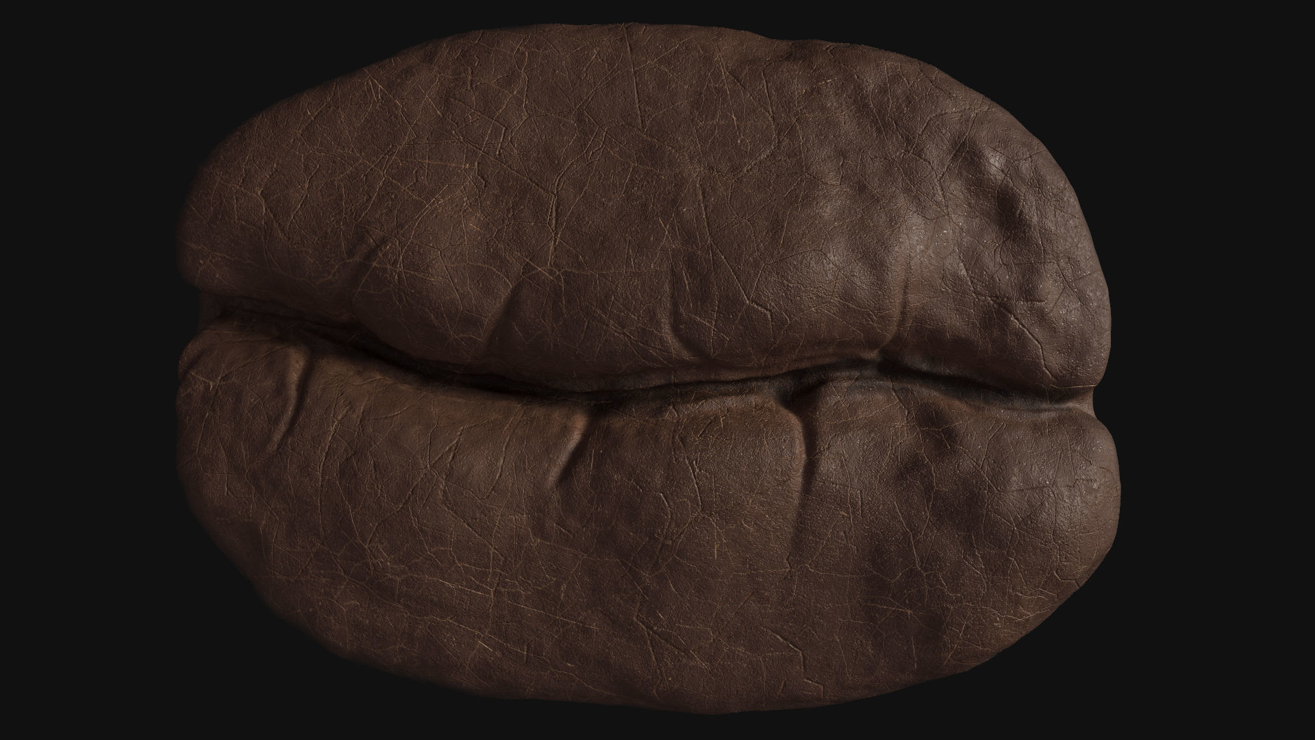 Roasted Coffee Bean 3D model_8