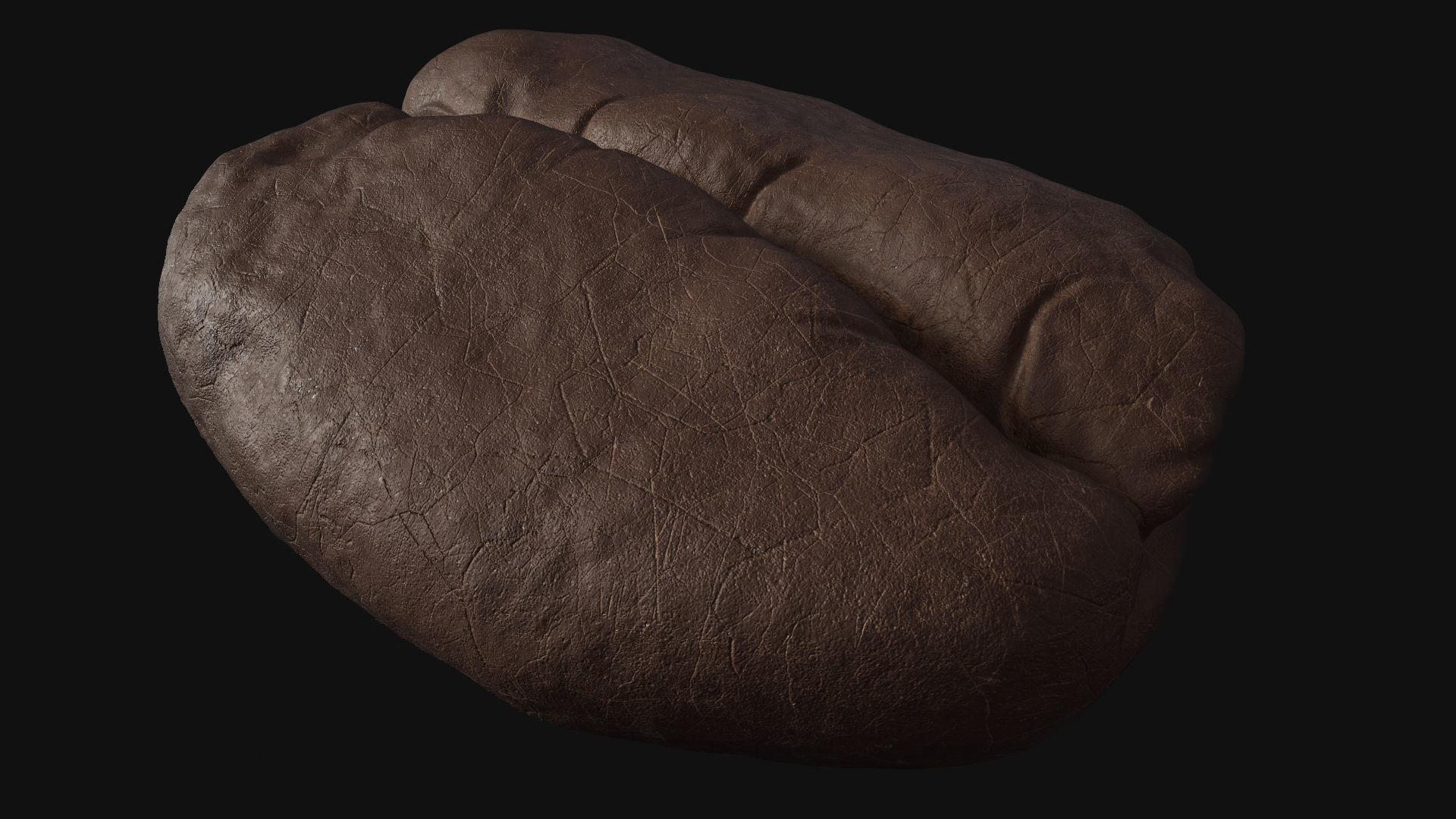 Roasted Coffee Bean 3D model_6