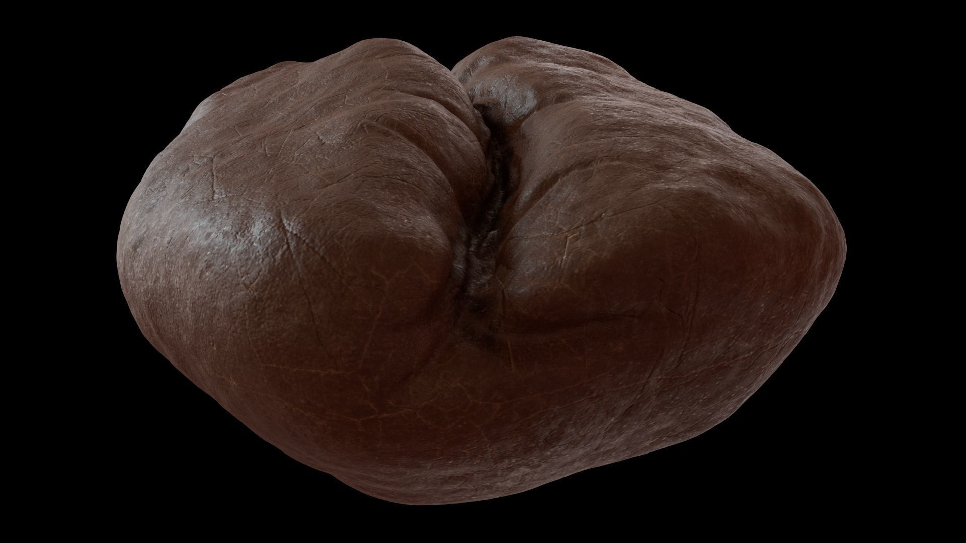 Roasted Coffee Bean 3D model_5
