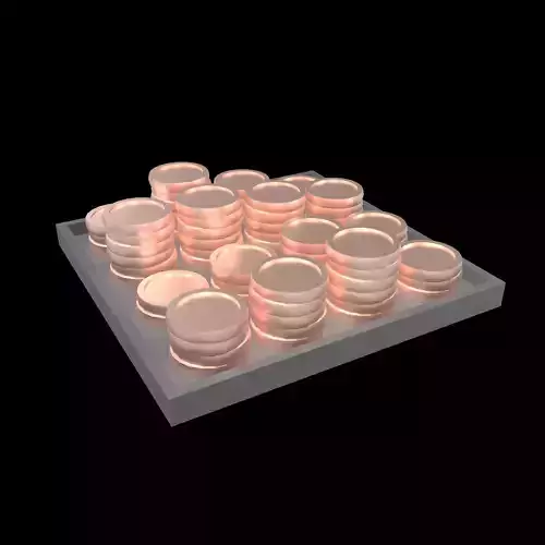 Plate of Coins v1 003