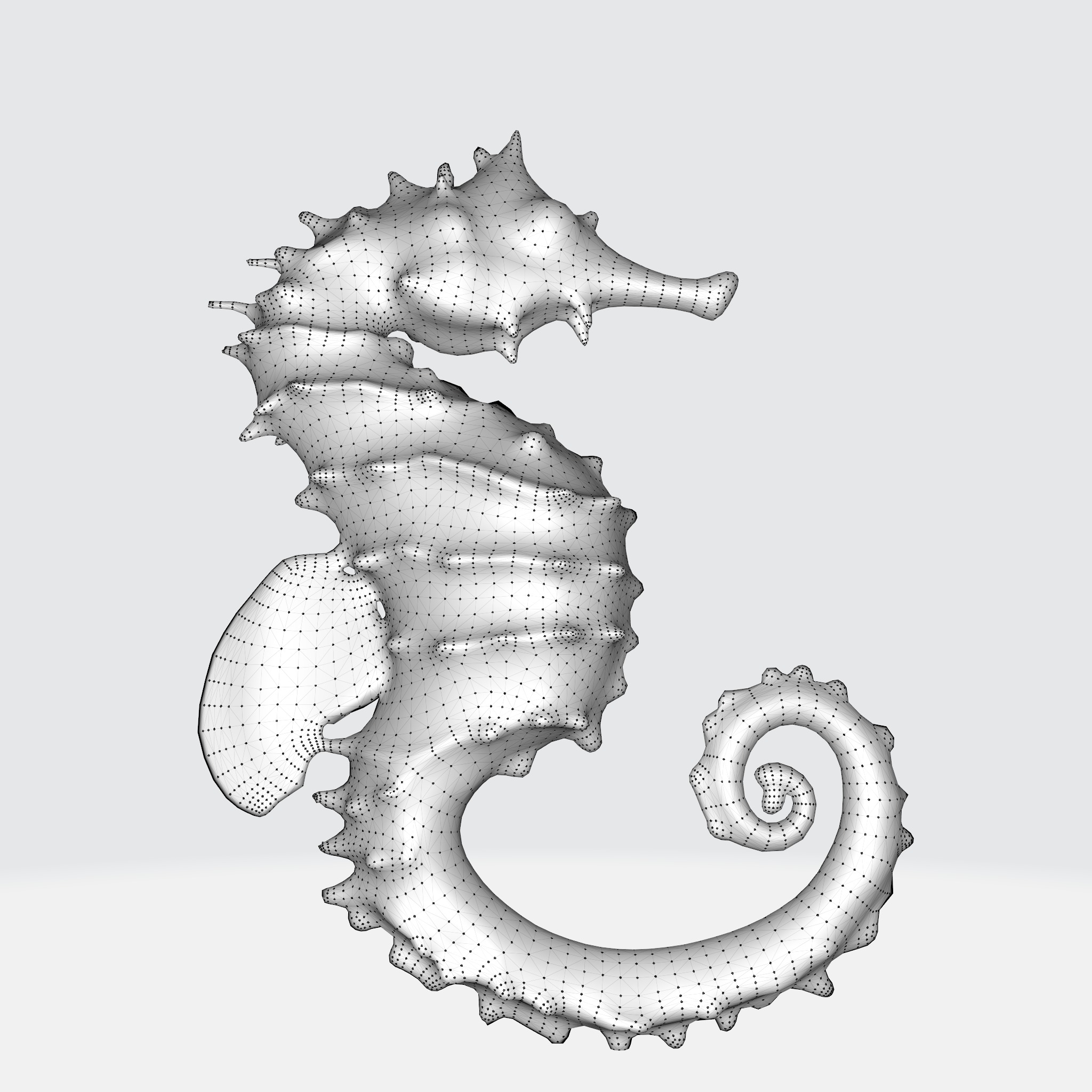 Seahorse with elongated body 3D model_10