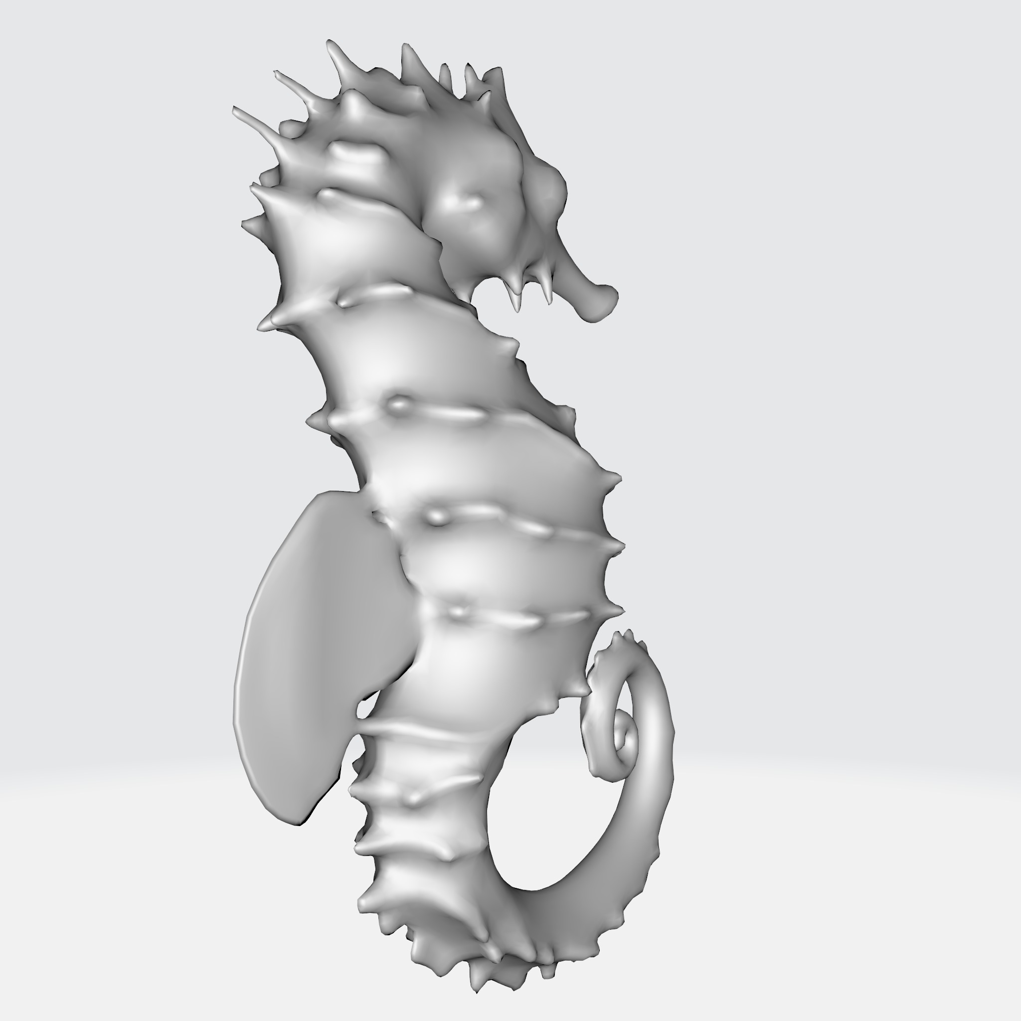 Seahorse with elongated body 3D model_6
