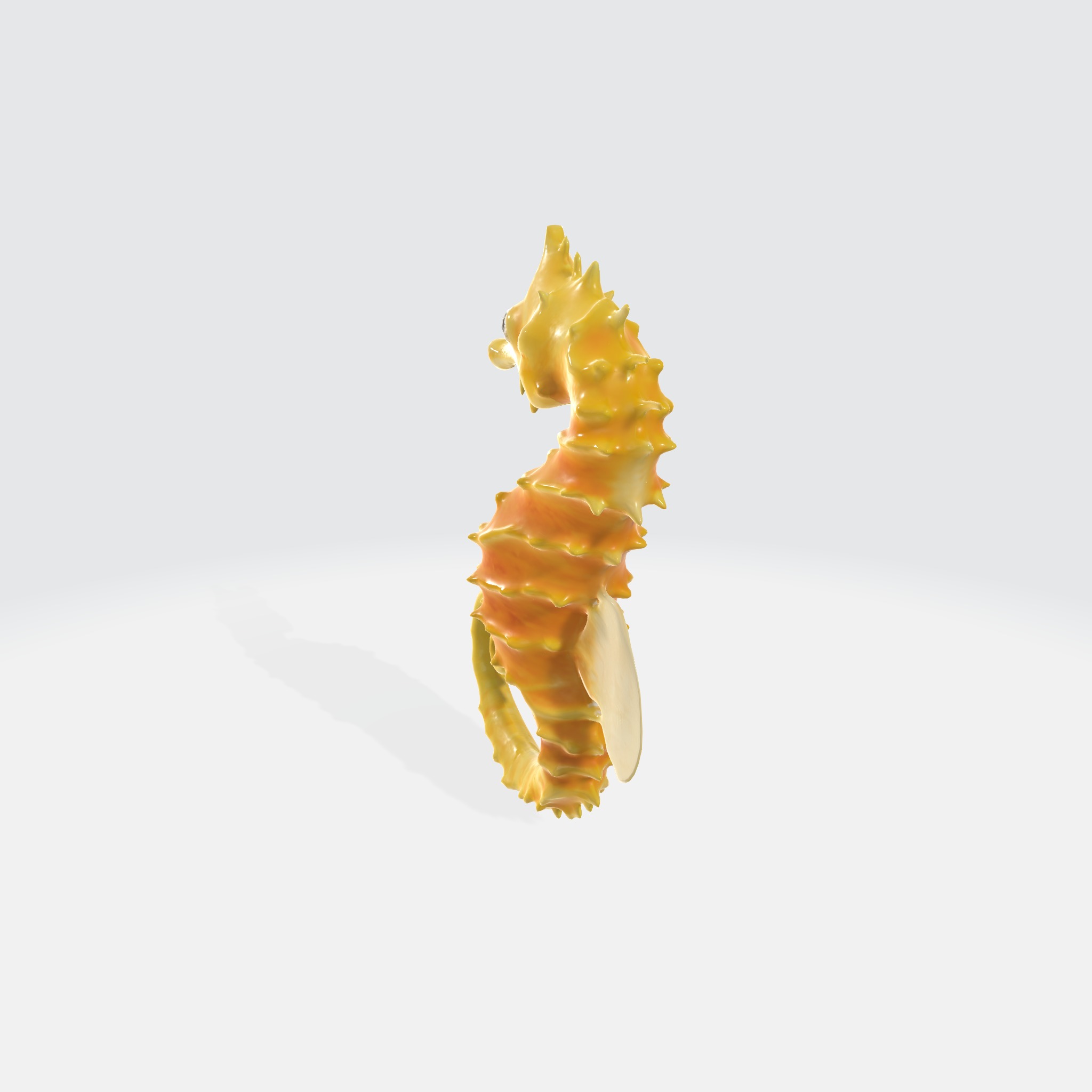 Seahorse with elongated body 3D model_3