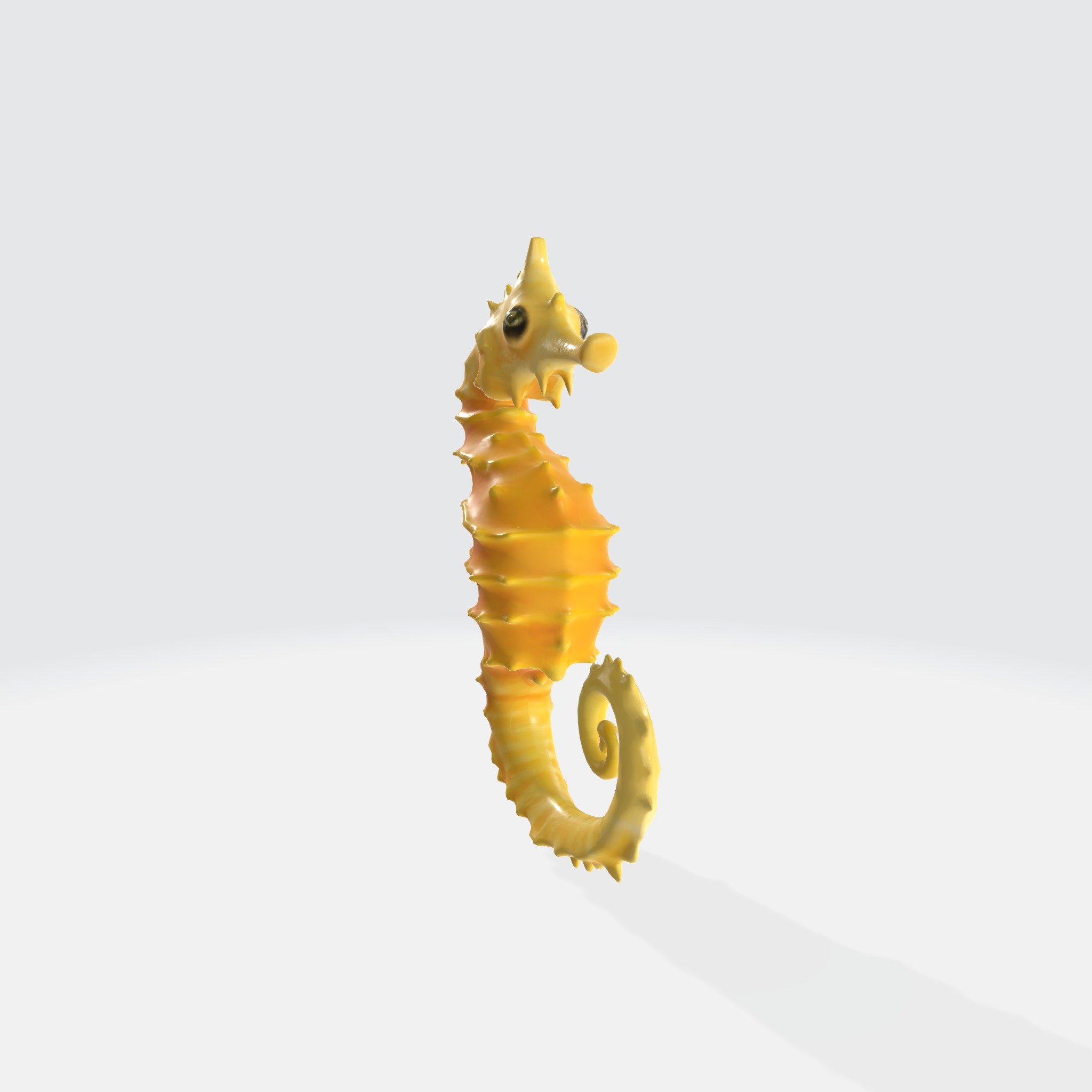Seahorse with elongated body 3D model_1
