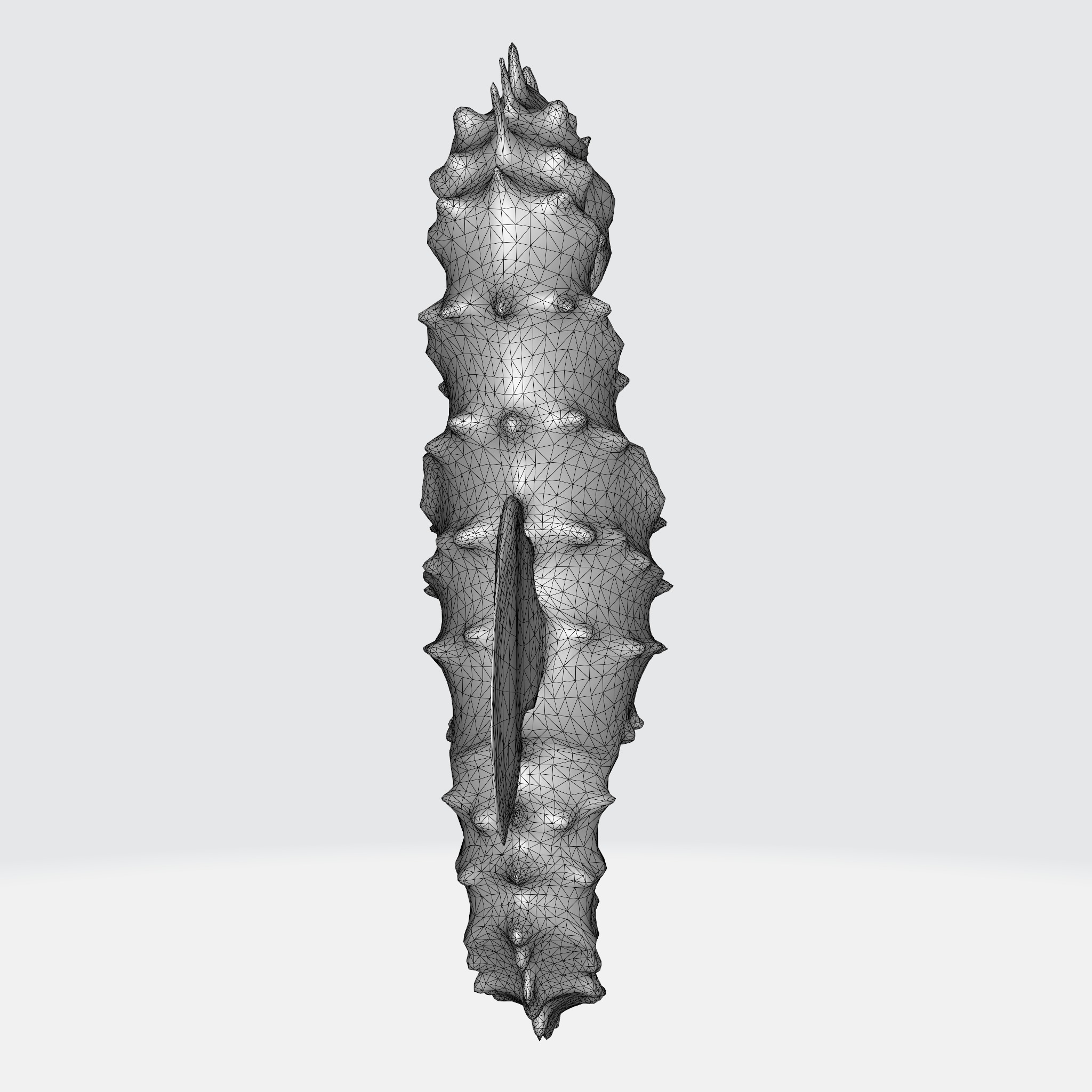 Seahorse with elongated body 3D model_9