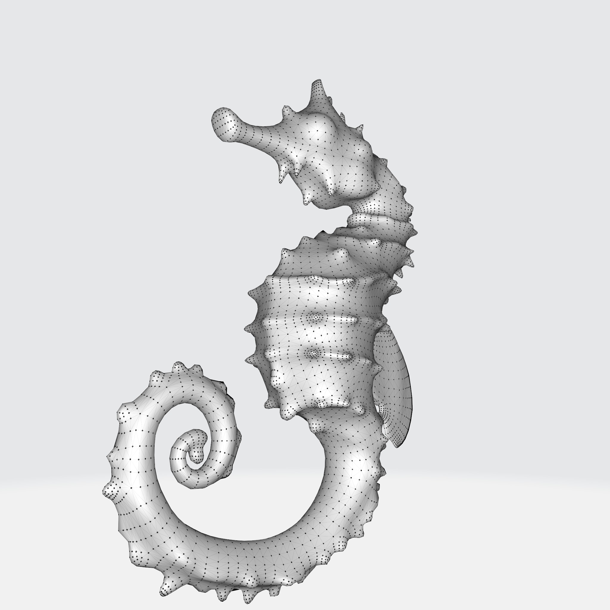 Seahorse with elongated body 3D model_11