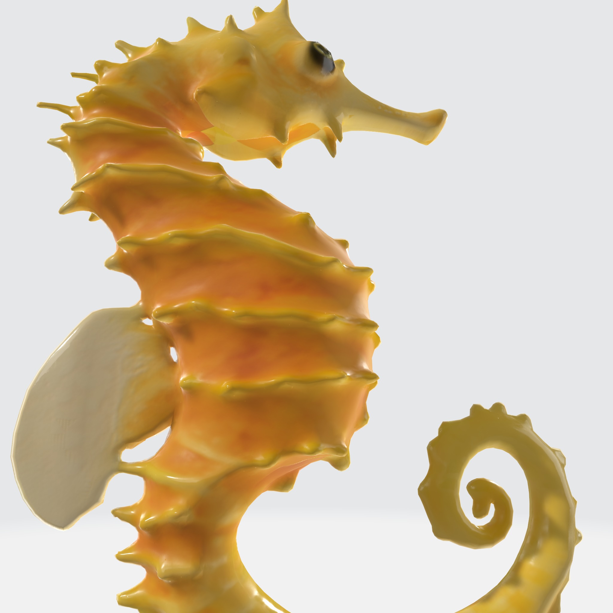 Seahorse with elongated body 3D model_4