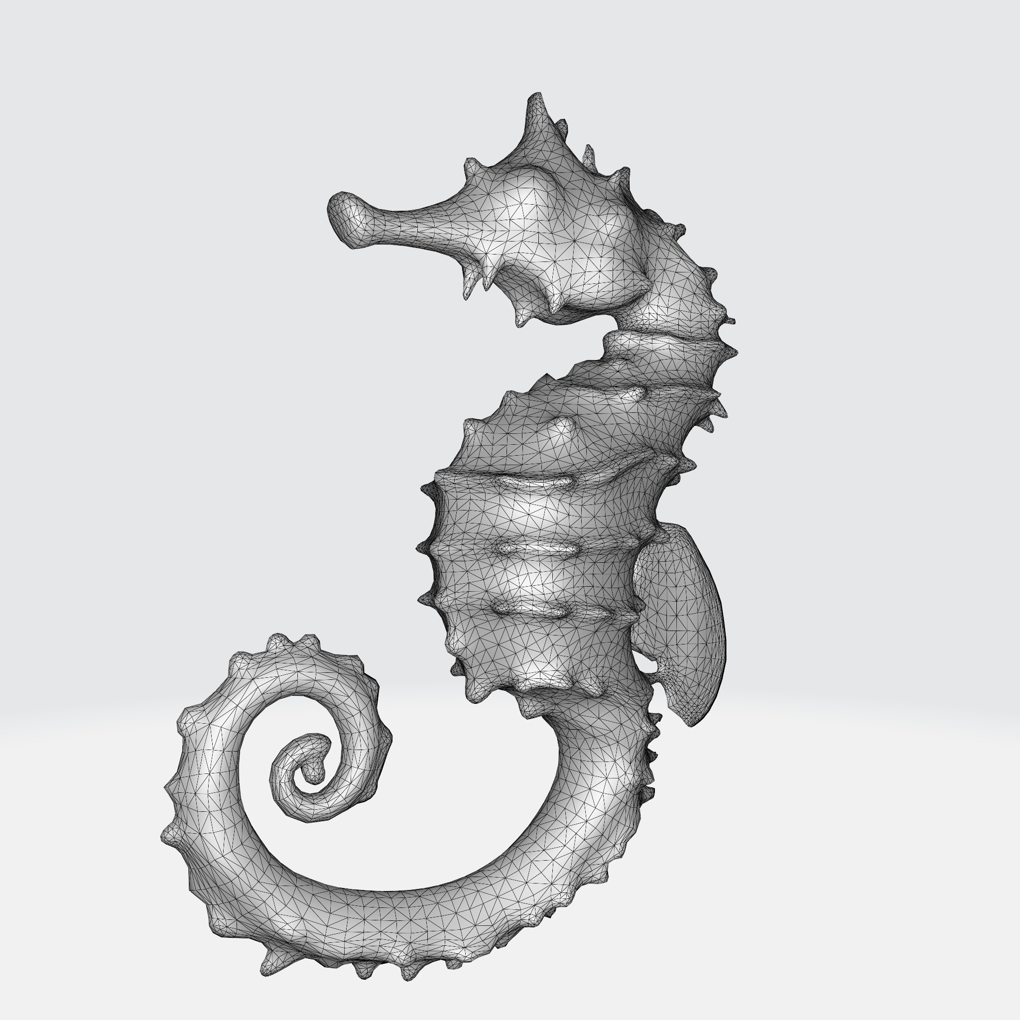 Seahorse with elongated body 3D model_8