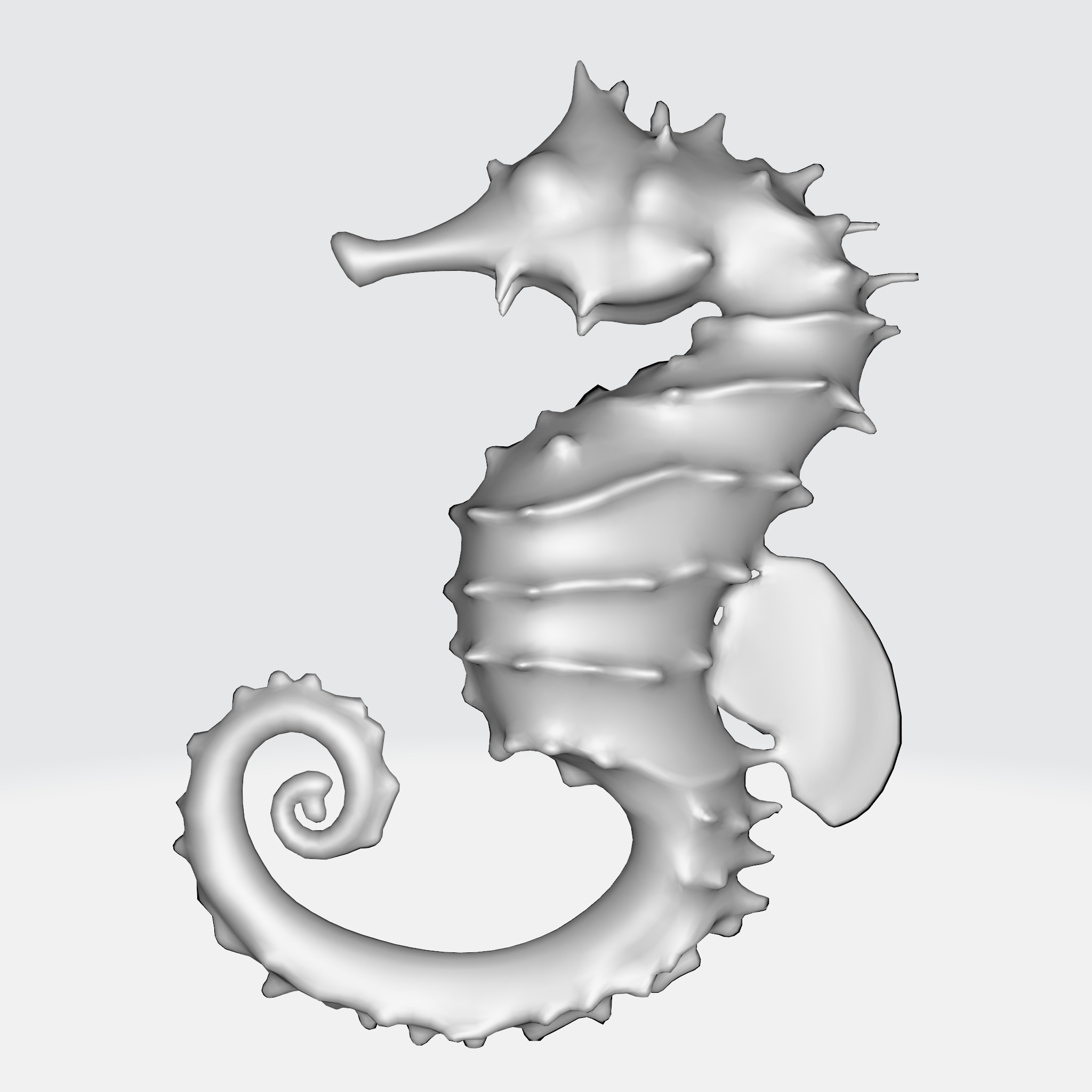 Seahorse with elongated body 3D model_5