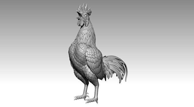 rooster 3D print model