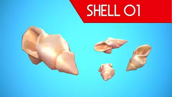 SHELL 01 CARTOON STYLIZED Low-poly 3D model