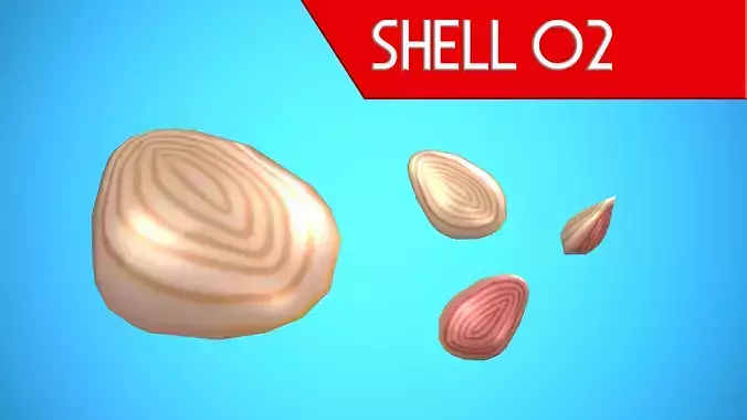 SHELL 02 CARTOON STYLIZED Low-poly 3D model