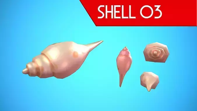SHELL 03 CARTOON STYLIZED Low-poly 3D model