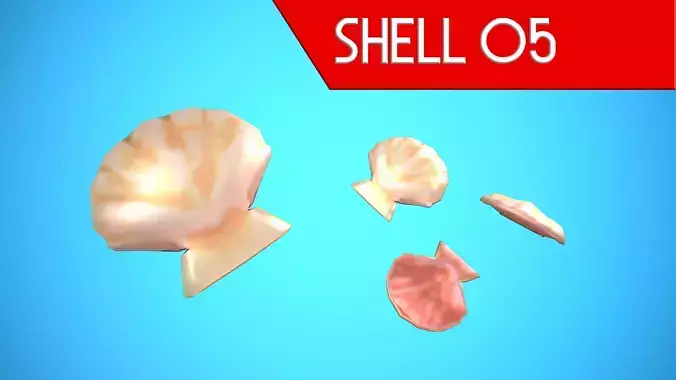 SHELL 05 CARTOON STYLIZED Low-poly 3D model