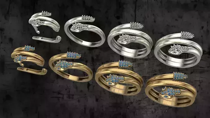 Snake rings and earring