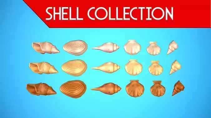 SHELL COLECTION 01-06 CARTOON STYLIZED 3D Model Collection