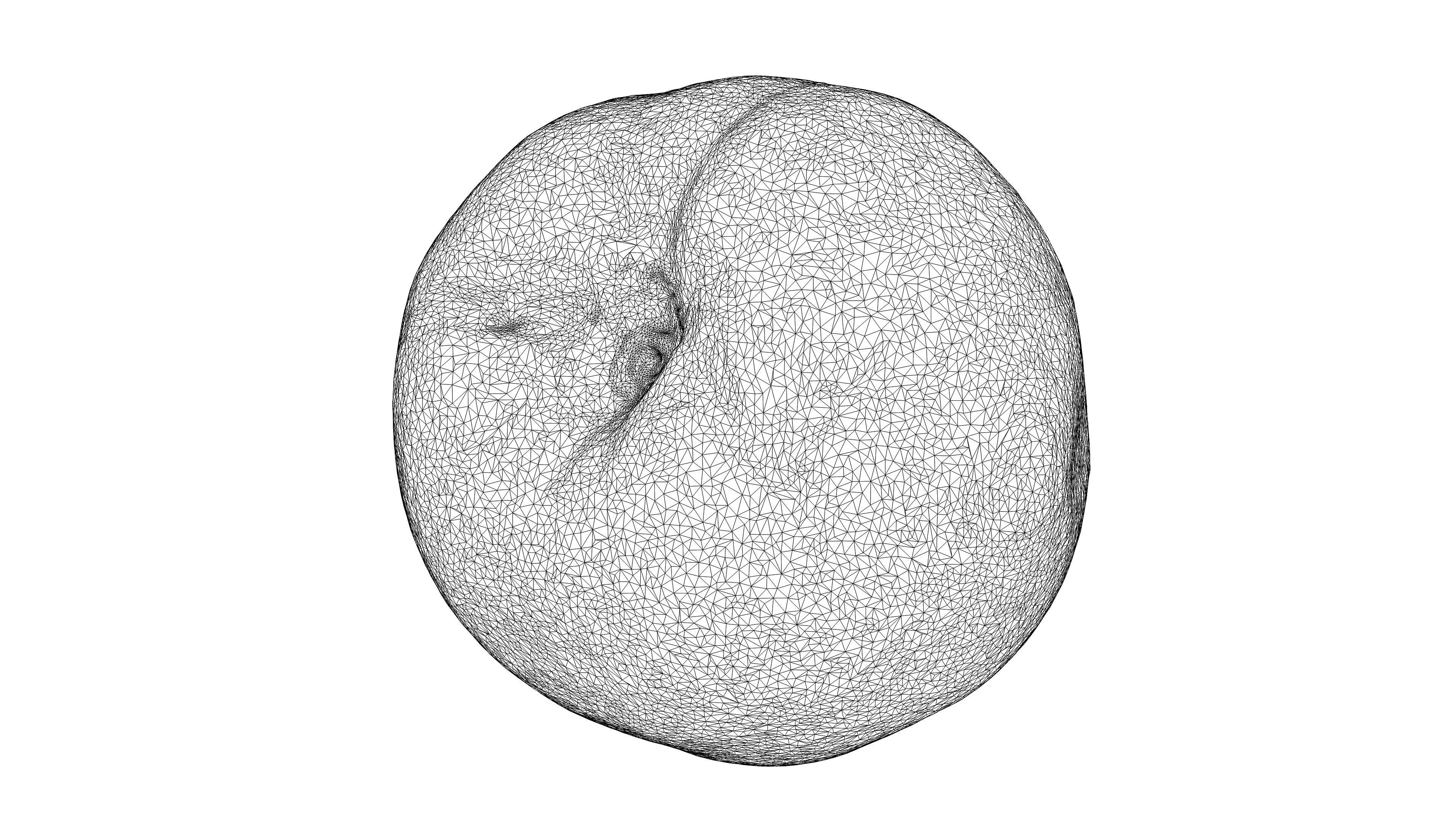 Photorealistic 3D scan of peach Low-poly 3D model_24
