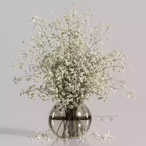 plants bouquet vase 36